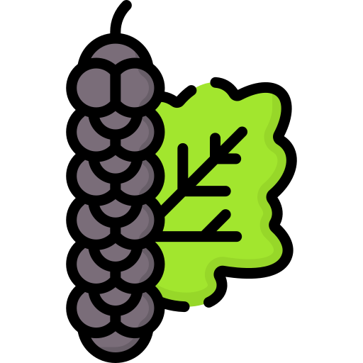 Mulberry Special Lineal color icon