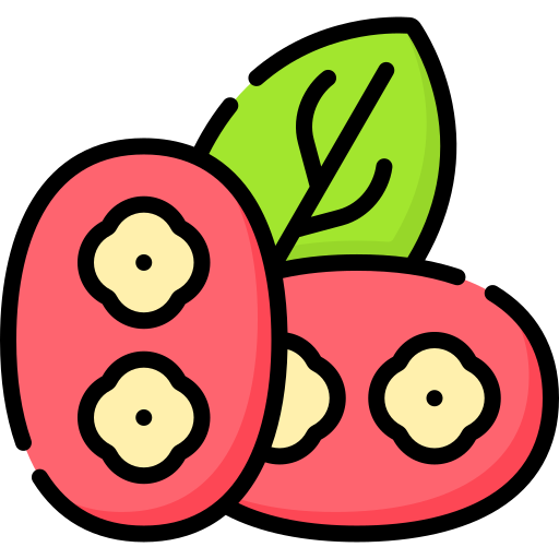 Partridge berry Special Lineal color icon