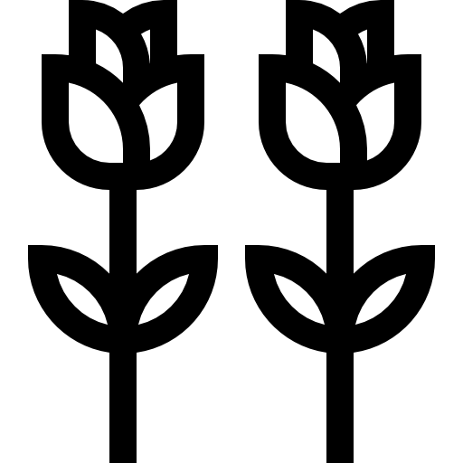 バラ Basic Straight Lineal icon