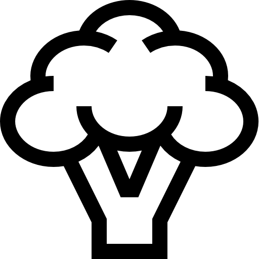 brokuły Basic Straight Lineal ikona