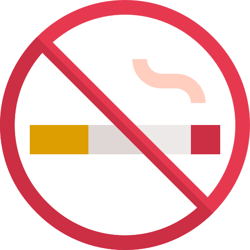 vietato fumare Basic Straight Flat icona