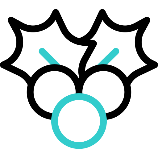 mistel Basic Accent Outline icon