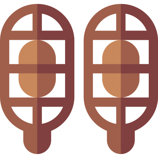 Snowshoes Basic Straight Flat icon
