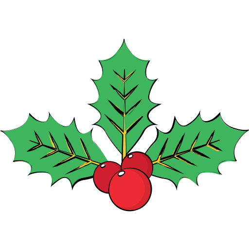 Christmas mistletoe Generic color lineal-color icon