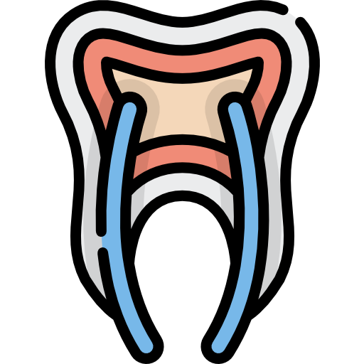 Tooth Kawaii Lineal color icon