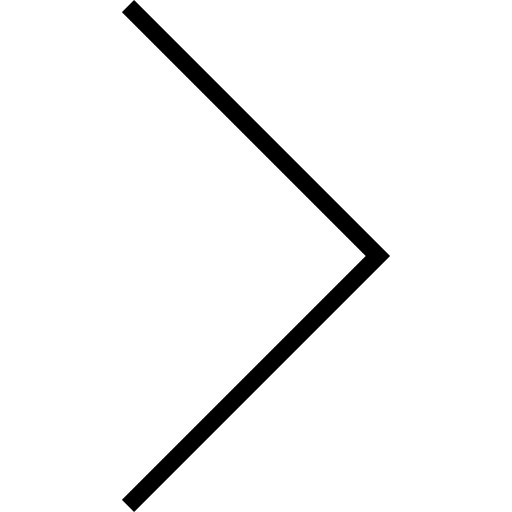 flecha correcta Basic Miscellany Lineal icono