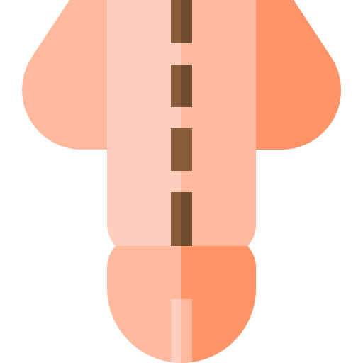 penis Basic Straight Flat icoon