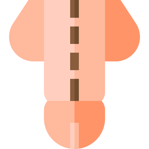 penis Basic Straight Flat icon