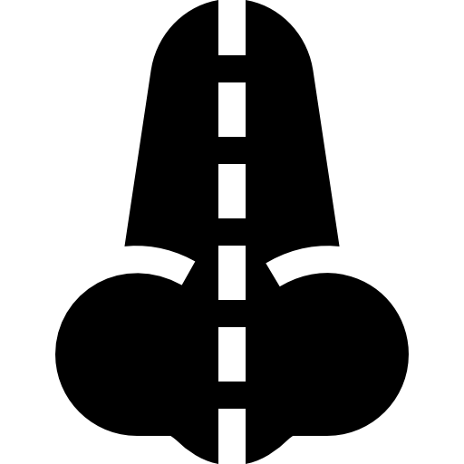 nariz Basic Straight Filled icono