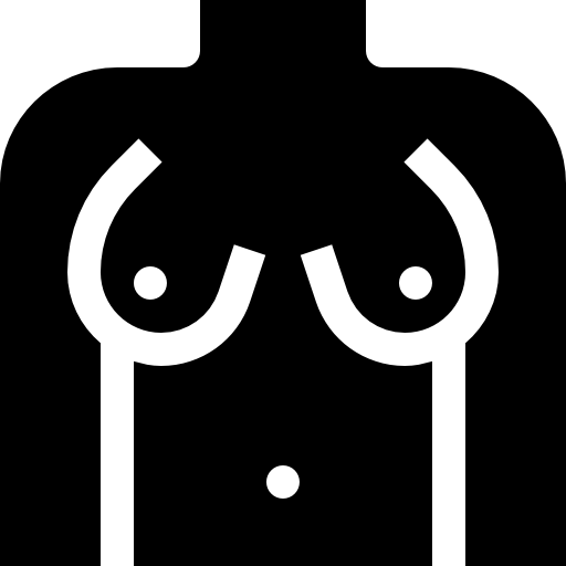 pecho Basic Straight Filled icono