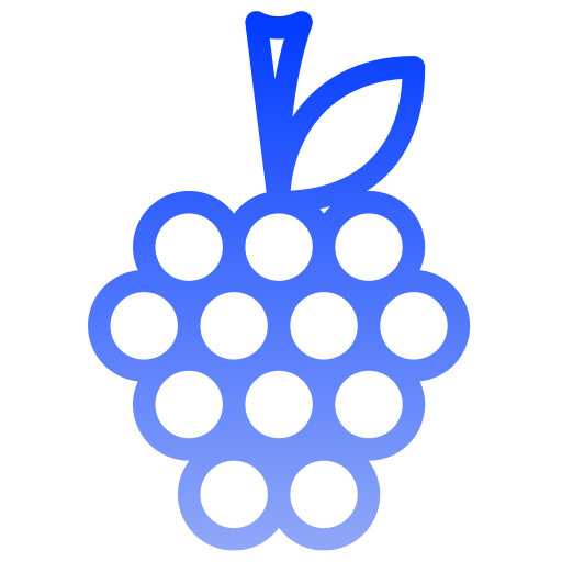 himbeeren Generic gradient outline icon