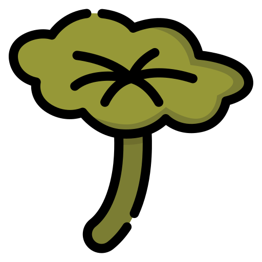 Lotus leaf Generic color lineal-color icon