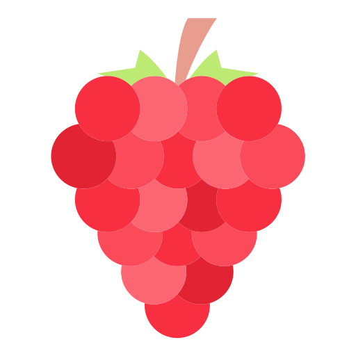 Raspberry Generic color fill icon