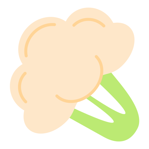 bloemkool Generic color fill icoon
