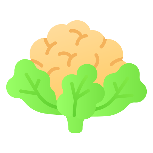Cauliflower Generic gradient fill icon