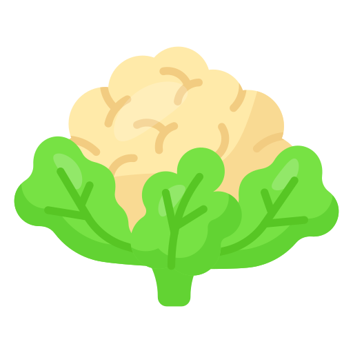 Cauliflower Generic color fill icon