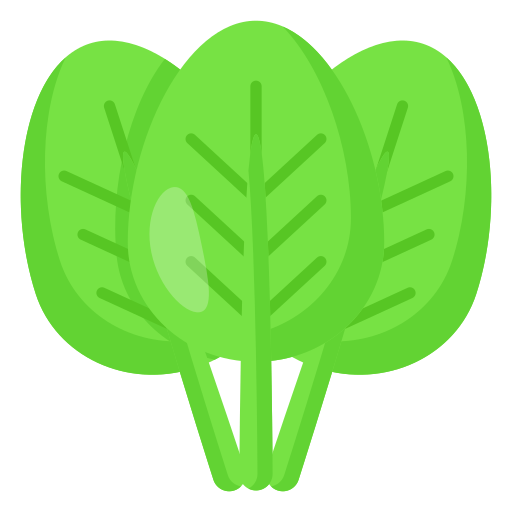 Spinach Generic color fill icon