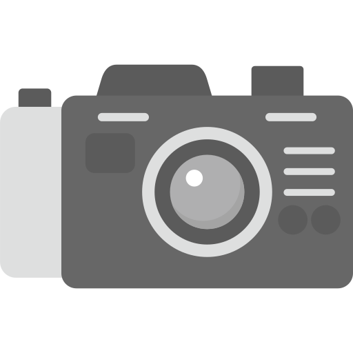 Mirrorless Generic color fill icon