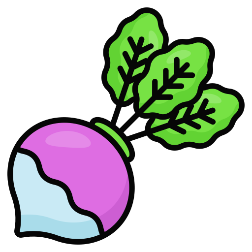 Turnip Generic color lineal-color icon