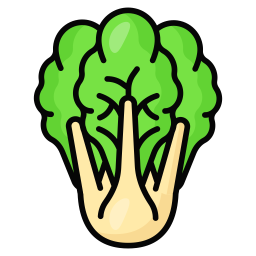 Cabbage Generic color lineal-color icon