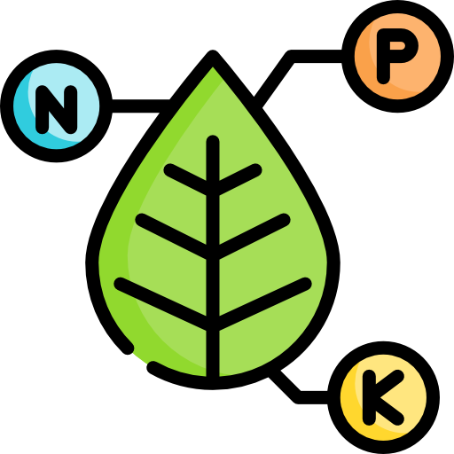 npk Special Lineal color icon