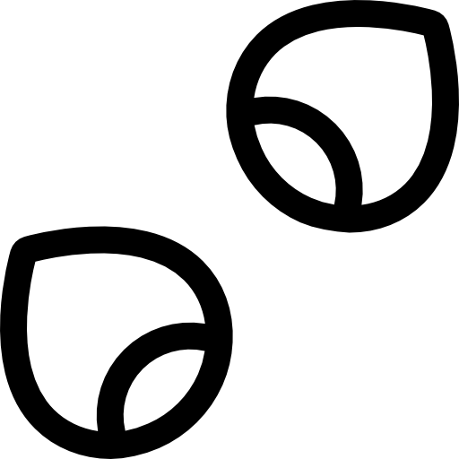 nüsse Basic Rounded Lineal icon