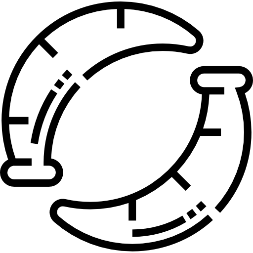 sanguijuela Detailed Straight Lineal icono