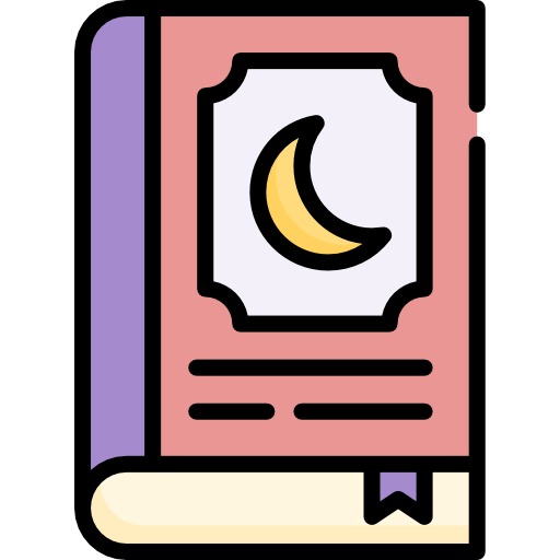 도서 Special Lineal color icon