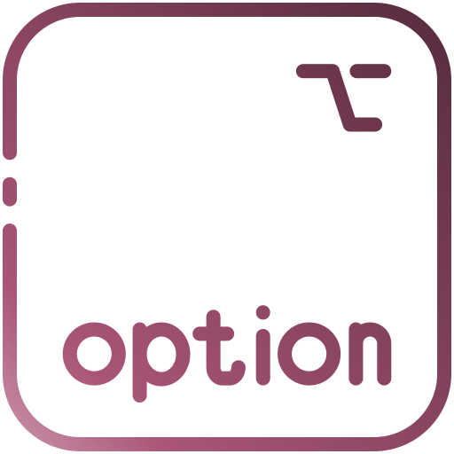 option Generic gradient outline Icône