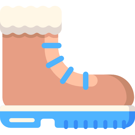 Snow boot Special Flat icon