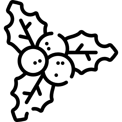 Mistletoe Special Lineal icon