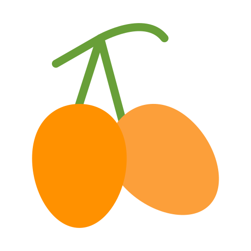 kumquat Generic color fill Icône