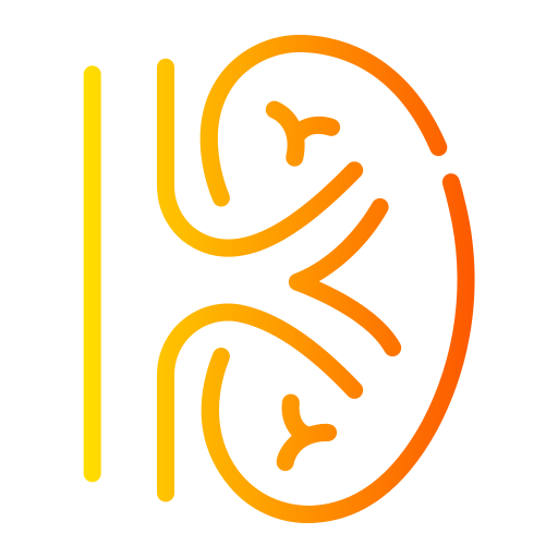 腎臓 Generic gradient outline icon