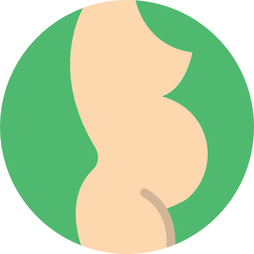 embarazada Basic Miscellany Flat icono