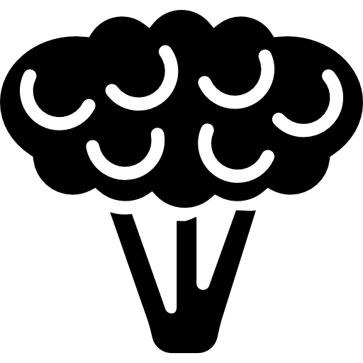 Cauliflower Basic Miscellany Fill icon