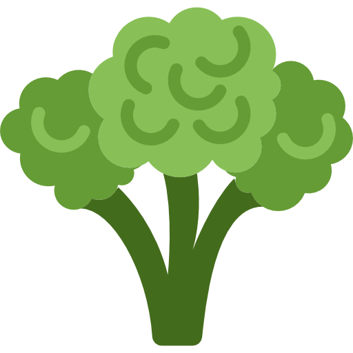 Broccoli Basic Miscellany Flat icon