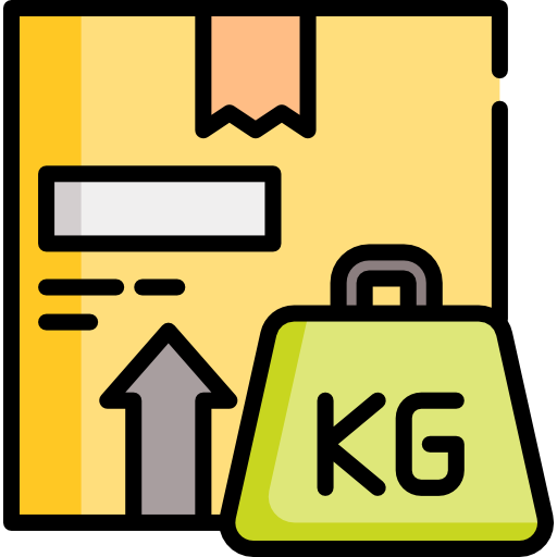 Weight Special Lineal color icon