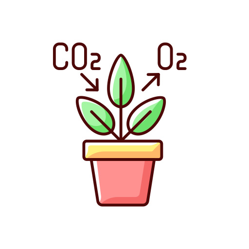 Домашнее растение Generic color lineal-color иконка