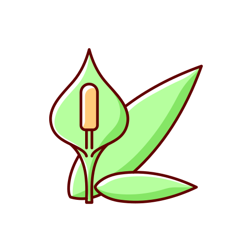 관엽 식물 Generic color lineal-color icon