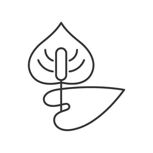 관엽 식물 Generic outline icon