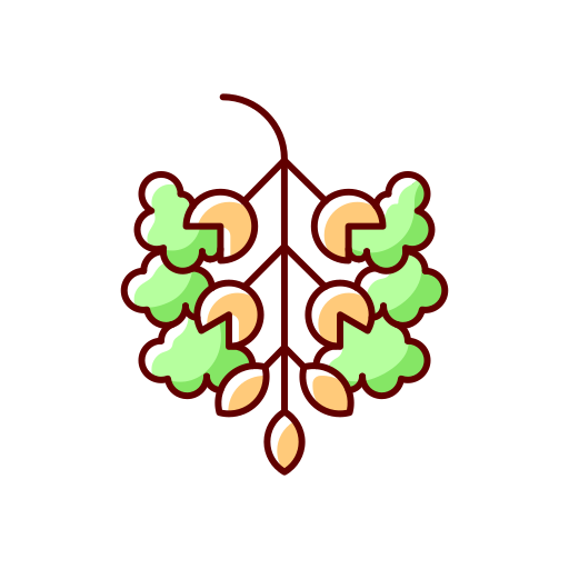 katoenhout Generic color lineal-color icoon
