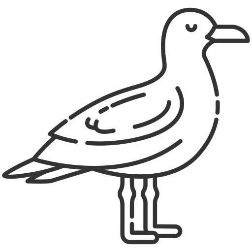 möwe Generic Others icon