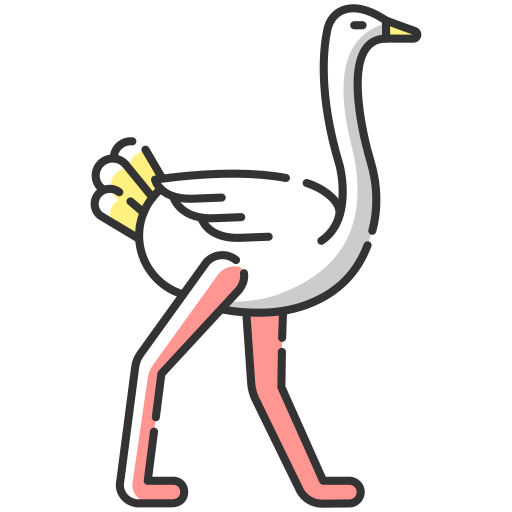 struisvogel Generic color lineal-color icoon