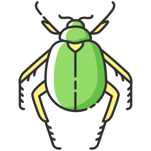 escarabajo Generic color lineal-color icono