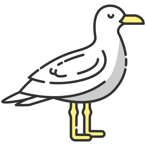 möwe Generic color lineal-color icon