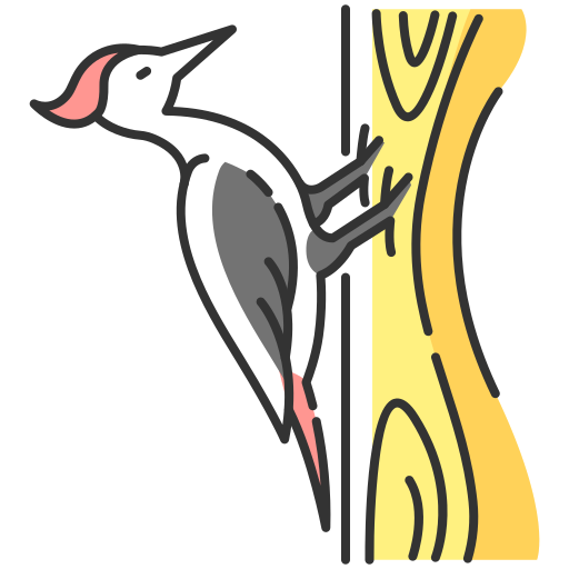 pájaro carpintero Generic color lineal-color icono