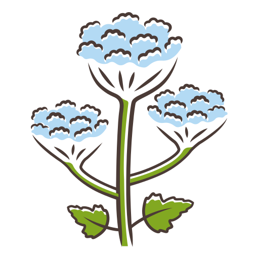 Hogweed wildflower Generic Others icon
