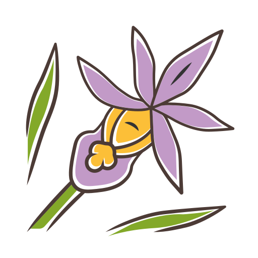 Fairy slipper Generic Others icon