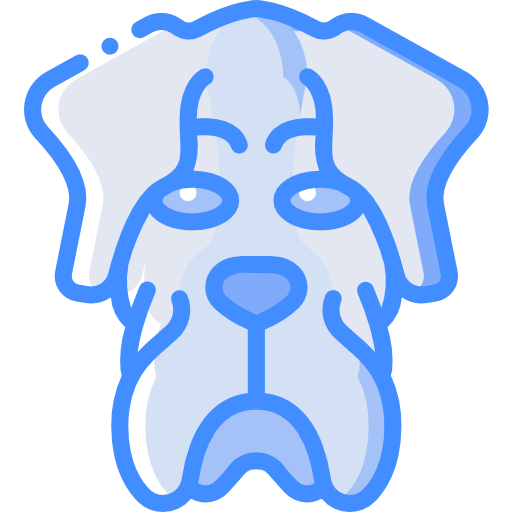 perro Basic Miscellany Blue icono