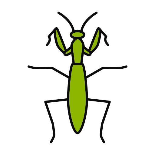 insecto Generic color lineal-color icono